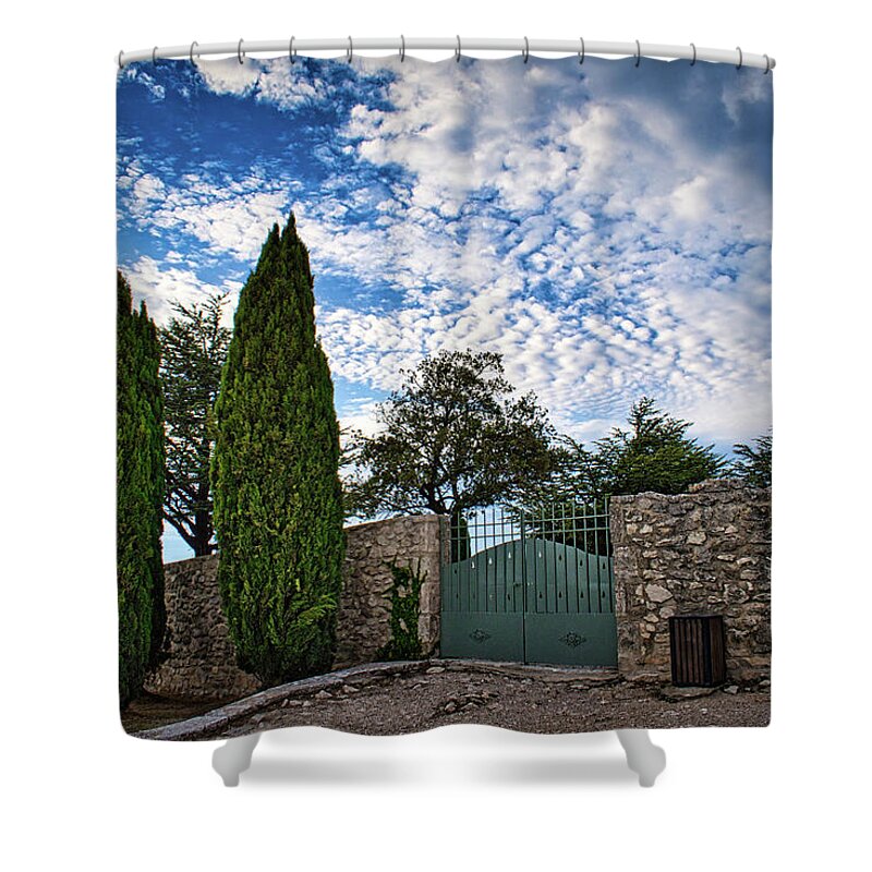 Tree Shower Curtain featuring the photograph Feeling Provencial by Portia Olaughlin