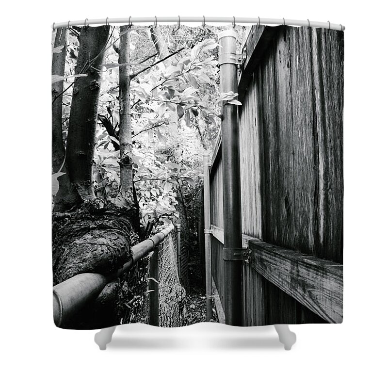 Fences Shower Curtain featuring the photograph Fence Eating Tree by W Craig Photography