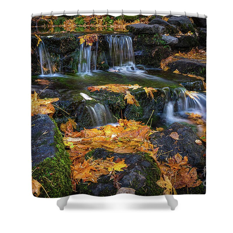 Autumn Shower Curtain featuring the photograph Fern Springs by Anthony Michael Bonafede