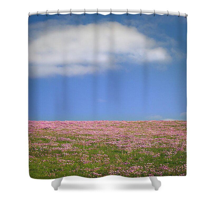 Sea Pink Shower Curtain featuring the photograph Fields of SeaPink by Mark Callanan