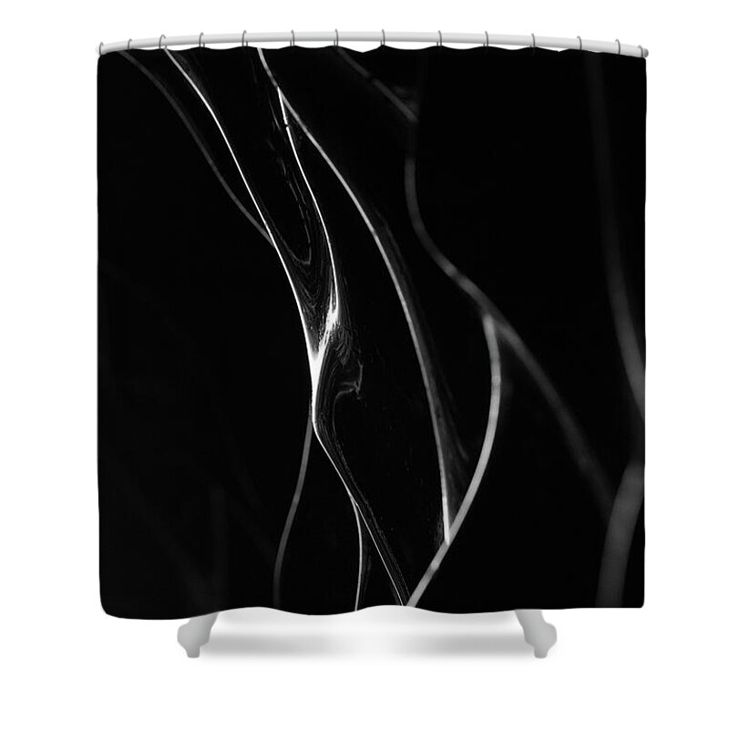 Abstract Shower Curtain featuring the photograph Figure Study Frozen by Alex Lapidus