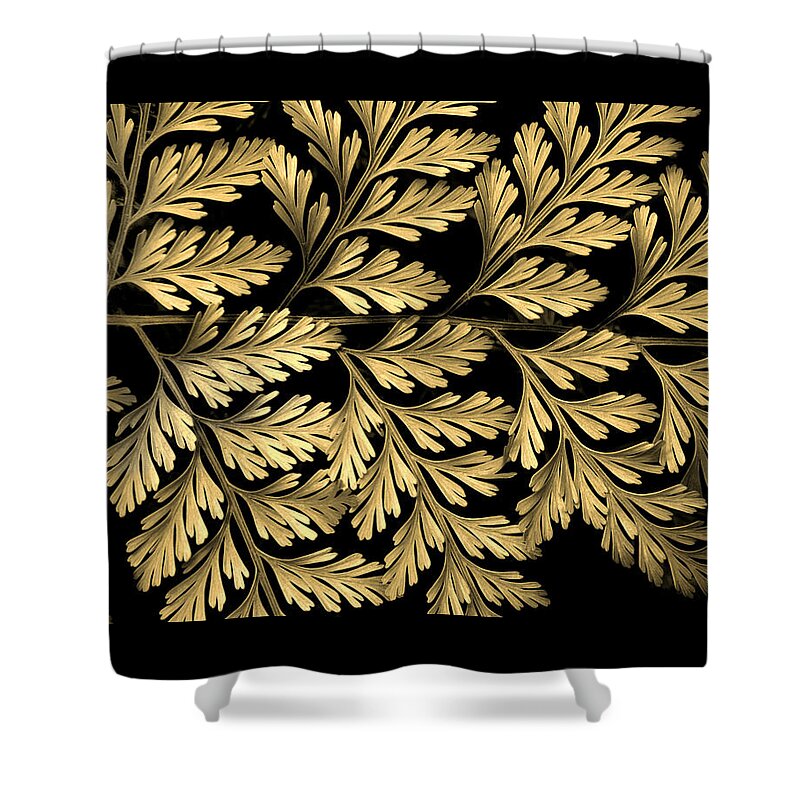 Fern Shower Curtain featuring the photograph Filigree Fern Gold by Jessica Jenney