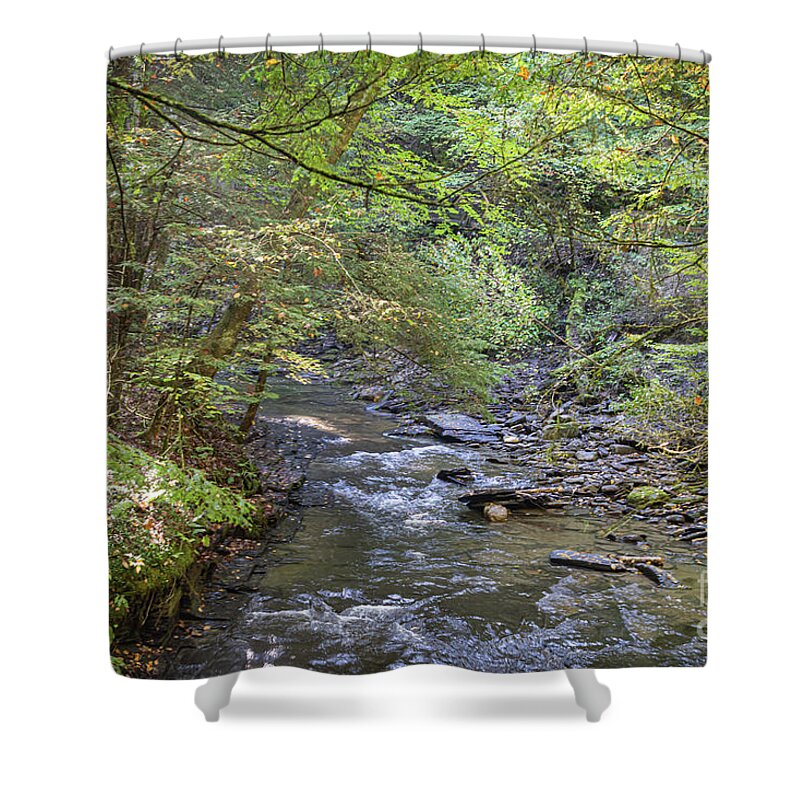 Water Shower Curtain featuring the photograph Fillmore Glen 38 by William Norton