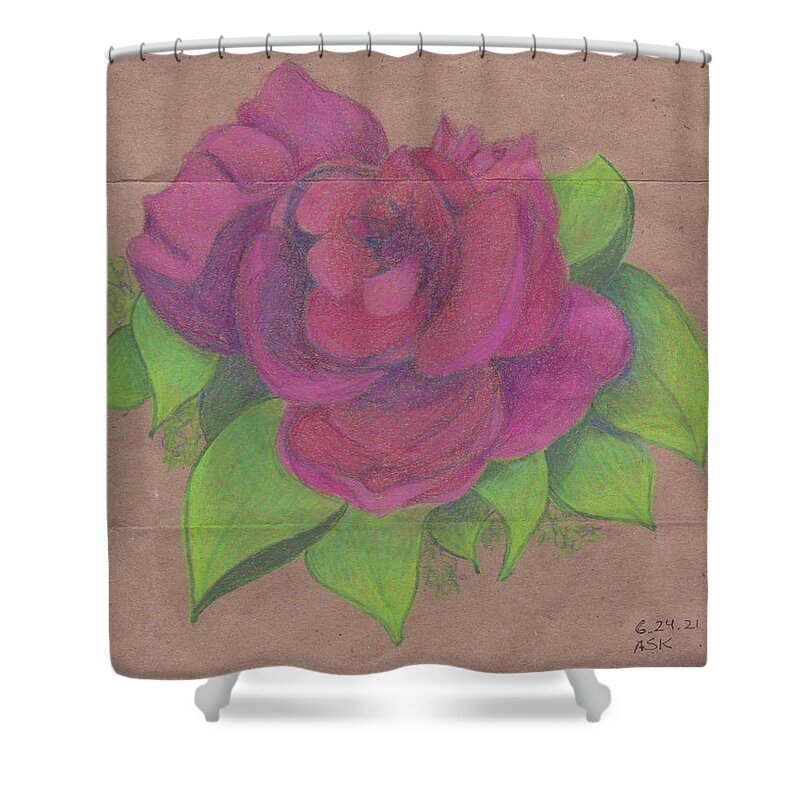 Rose Shower Curtain featuring the drawing Finding the Extraordinary by Anne Katzeff