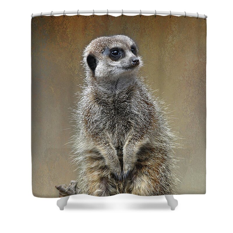 Meerkat Shower Curtain featuring the photograph Fine Art Meerkat on the lookout by Gareth Parkes