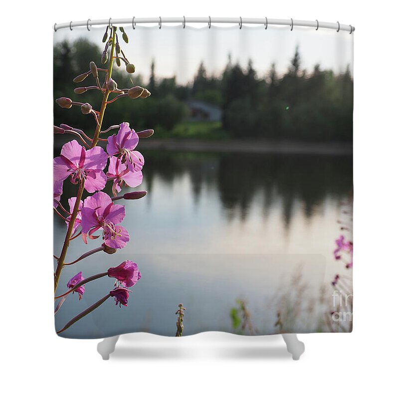 Fireweed Shower Curtain featuring the photograph Fireweed by Adrienne Franklin