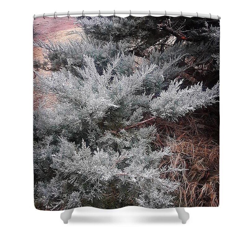 Scenery Shower Curtain featuring the photograph First Frost by Ariana Torralba
