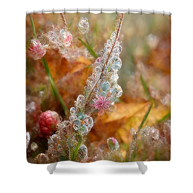 First Frost Shower Curtains