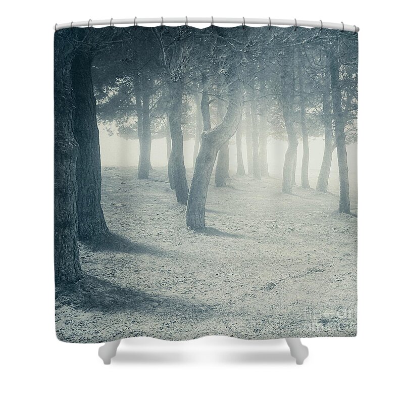 Woodland Shower Curtain featuring the photograph First snow by Ang El