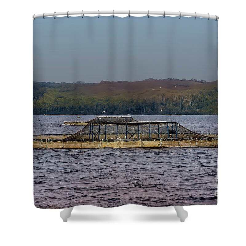 Fish Farm Shower Curtain featuring the photograph Fish Farm, Gordon River, Tasmania, Australia by Elaine Teague