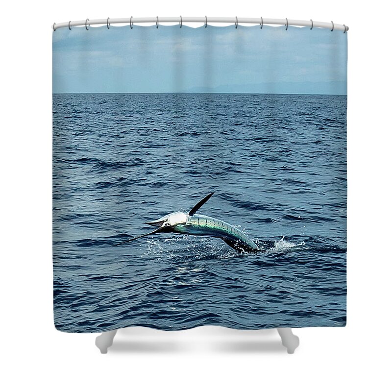 Costa Rica Shower Curtain featuring the photograph Zip, Zip and Away by Leslie Struxness