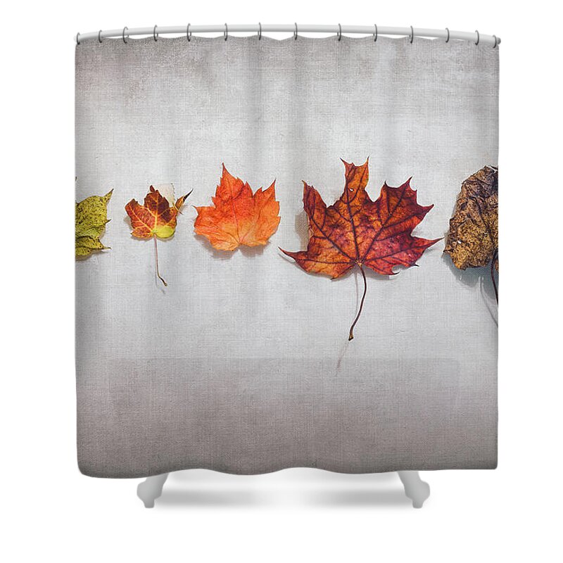 Autumn Shower Curtain featuring the photograph Five Autumn Leaves by Scott Norris