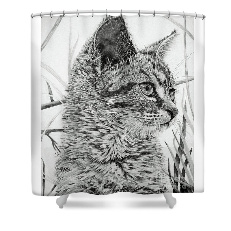 Cat Shower Curtain featuring the drawing Fixated by Terri Mills
