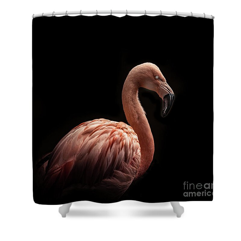 Flamigo Shower Curtain featuring the photograph Flamigo in Black by MPhotographer