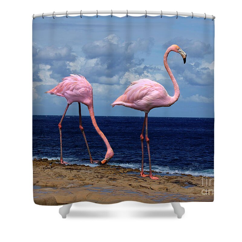 1942 Shower Curtain featuring the photograph Flamingoes Like Shrimp by Al Bourassa