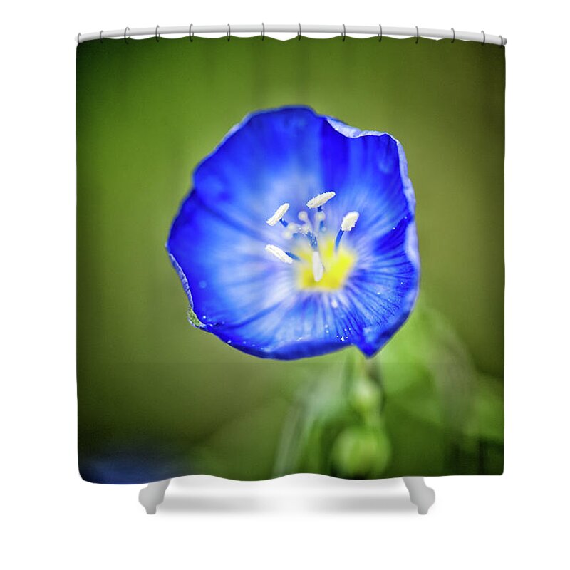 Co Shower Curtain featuring the photograph Flax by Doug Wittrock