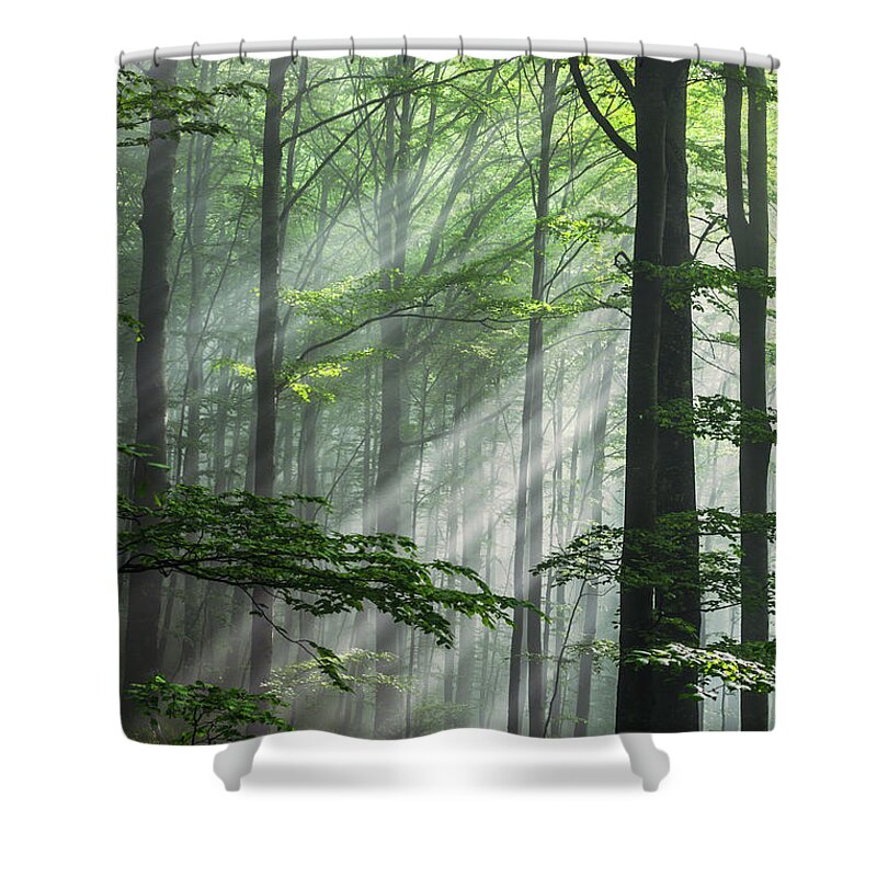 Fog Shower Curtain featuring the photograph Fleeting Beams by Evgeni Dinev