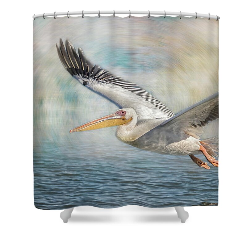 Great White Pelican Shower Curtain featuring the photograph Flight of a Great White Pelican by Belinda Greb