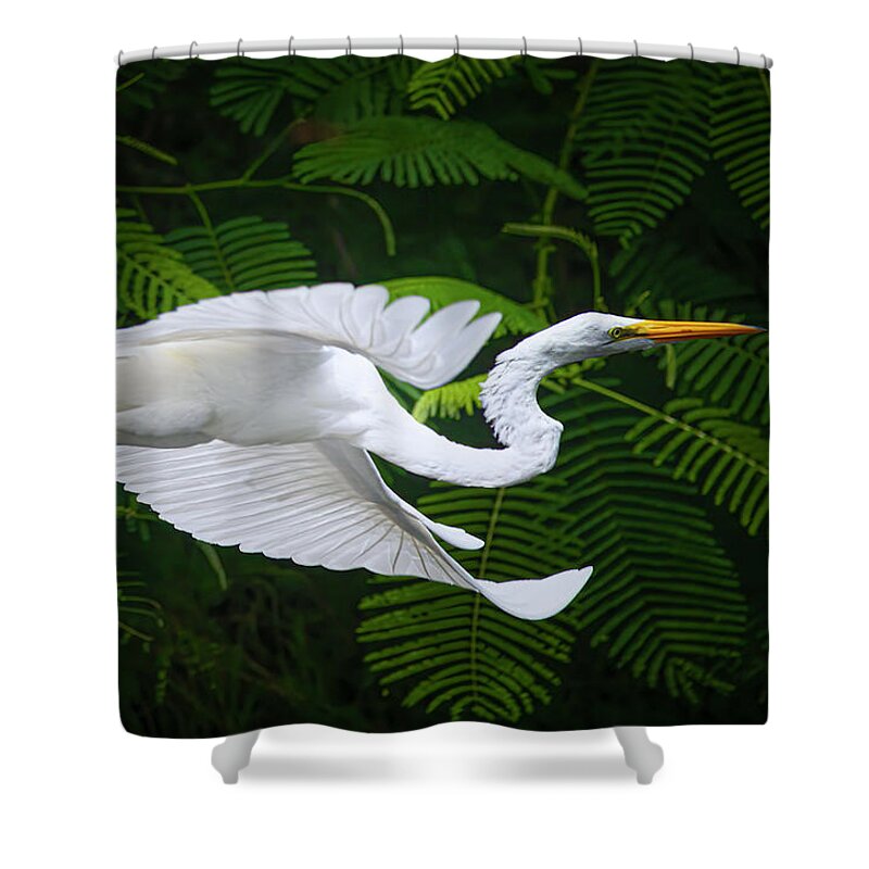 Great White Egret Shower Curtain featuring the photograph Flight of Grace by Mark Andrew Thomas