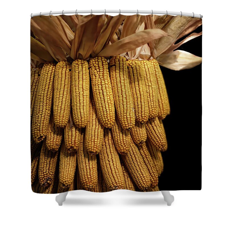 Corn Shower Curtain featuring the photograph Flint Corn by Lois Bryan