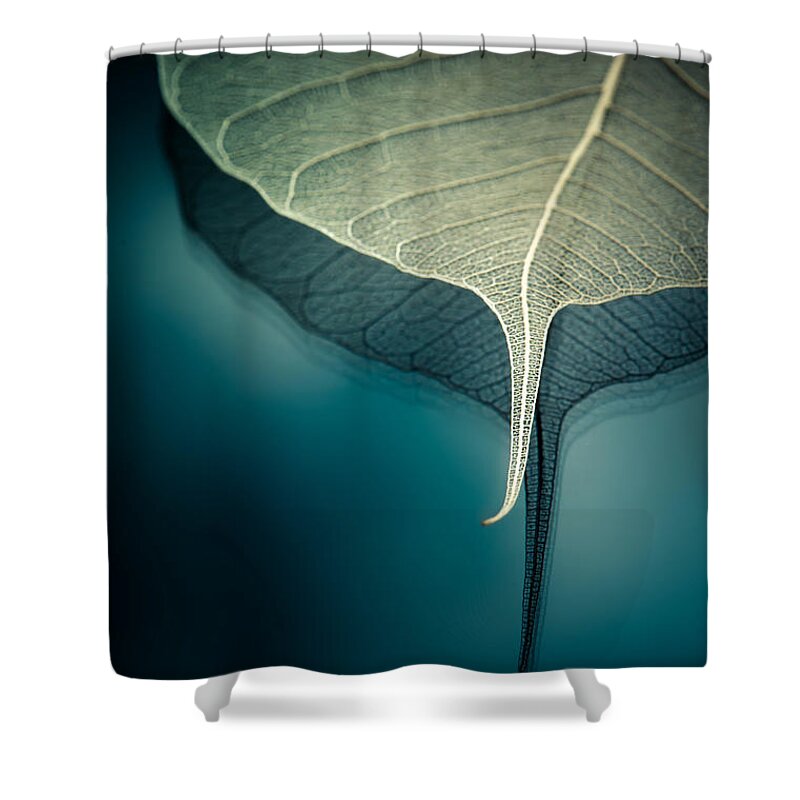 Still Shower Curtain featuring the photograph Float by Maggie Terlecki
