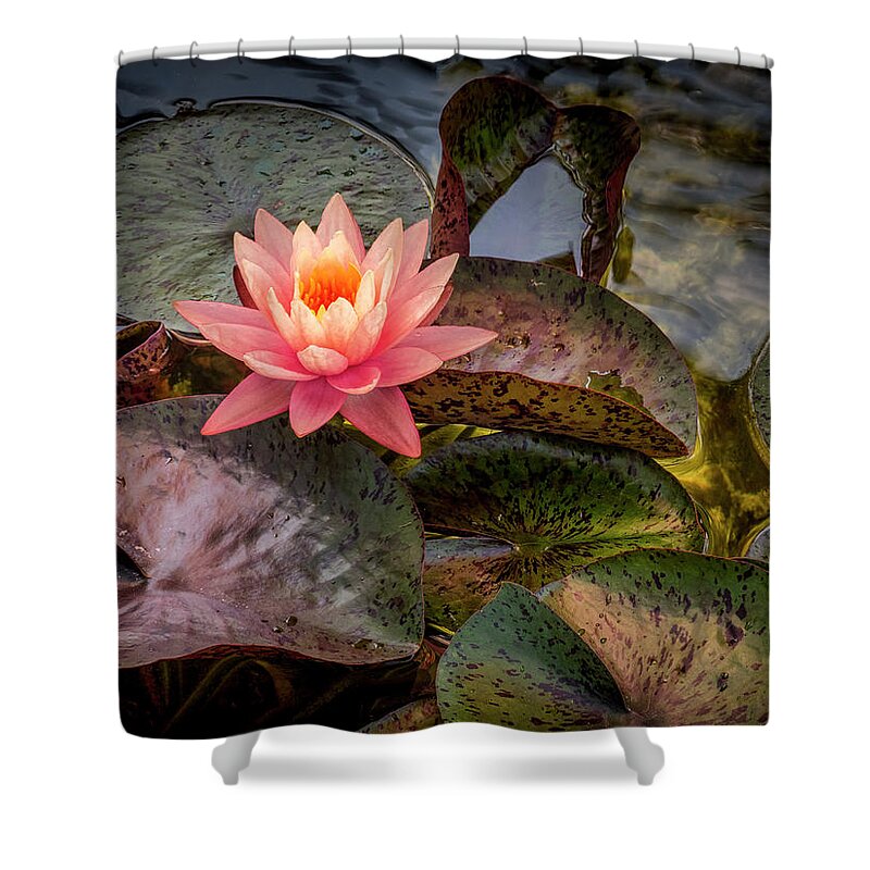 Floral Shower Curtain featuring the photograph Floating Above. by Usha Peddamatham