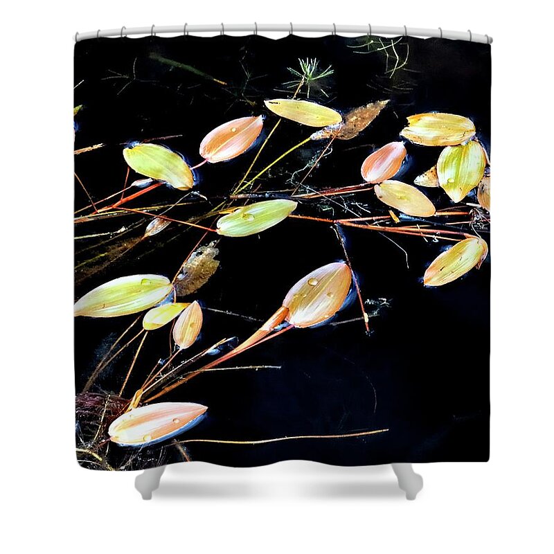 Nature Shower Curtain featuring the photograph Floating Branches and Leaves 2 by Jerry Sodorff