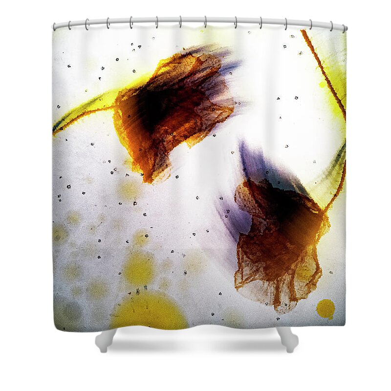 Poppy Shower Curtain featuring the photograph Floating dancers by Al Fio Bonina