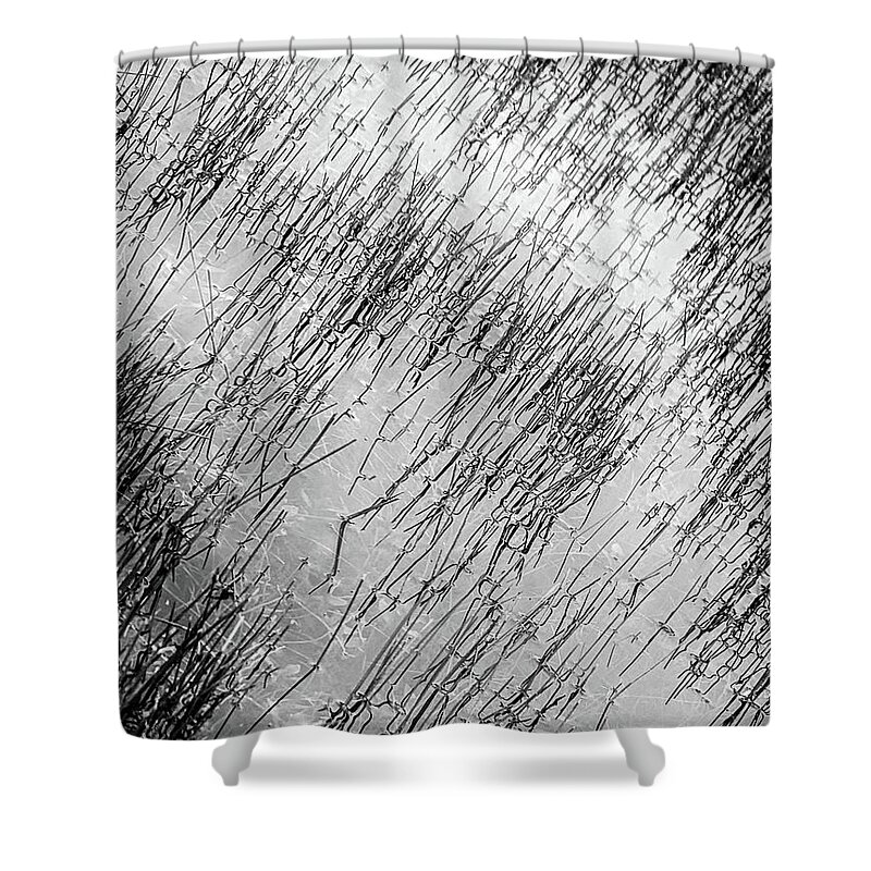 Black Shower Curtain featuring the photograph Flooded Lawn by Coral Stengel