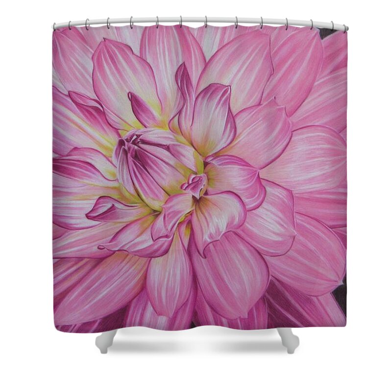 Dahlia Shower Curtain featuring the drawing Floral Burst by Kelly Speros