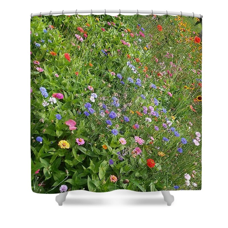 Landscape Shower Curtain featuring the photograph Floral Symphony by Clily Artist Space