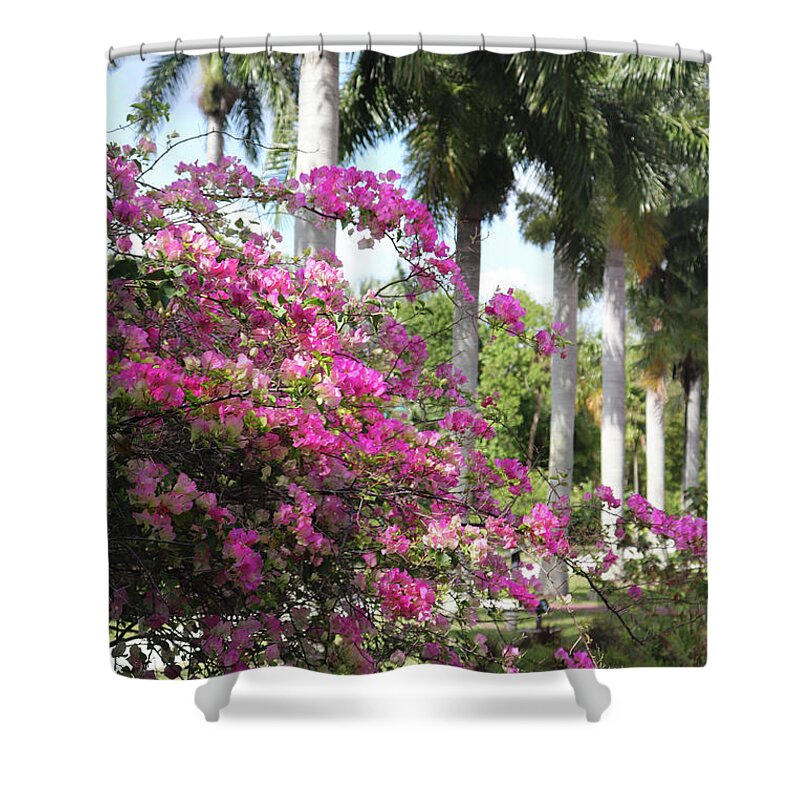 Pink Blossoms Shower Curtain featuring the photograph Florida Blossoms and Palms by David T Wilkinson