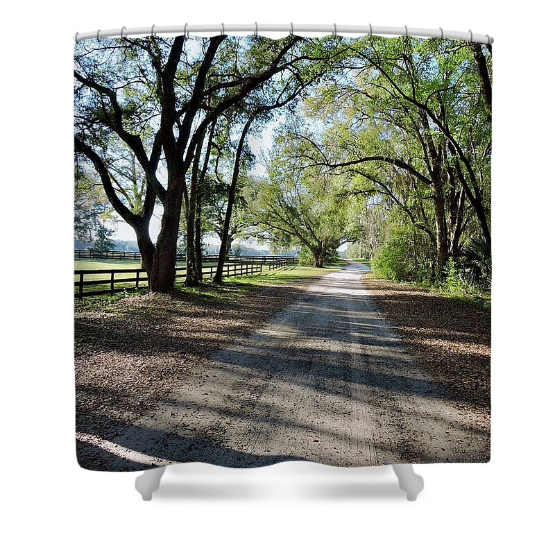 Florida Country Road Shower Curtain featuring the photograph Florida Country Road by Warren Thompson