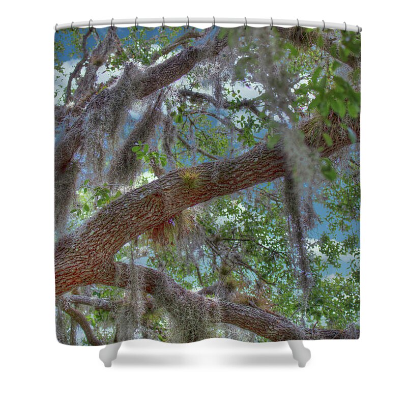 Florida Shower Curtain featuring the photograph Florida Woods by Richard Goldman