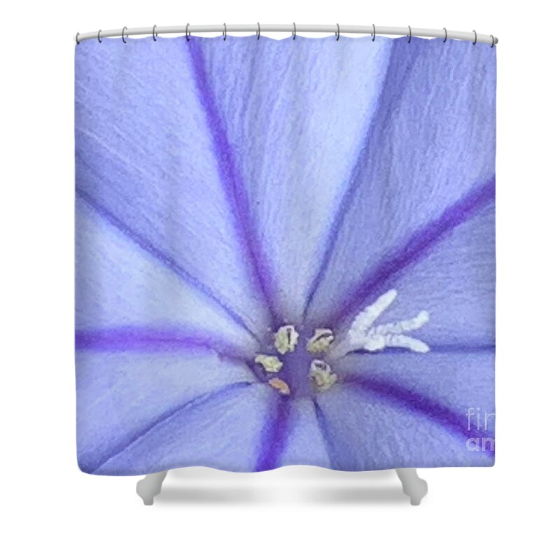 Plumbago Shower Curtain featuring the photograph Floritones by Tiesa Wesen