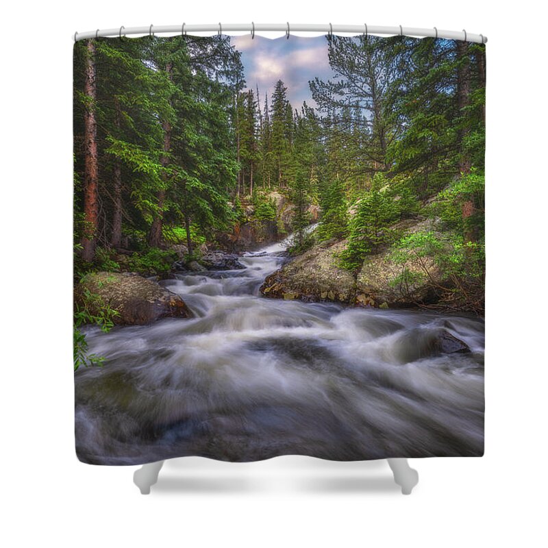 Colorado Shower Curtain featuring the photograph Flow of the Forest by Darren White