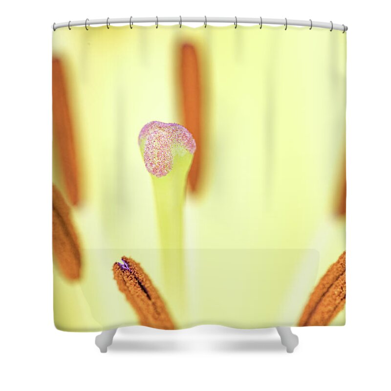 Flower Shower Curtain featuring the photograph Flower Close Up by Amelia Pearn