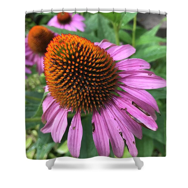 Flowers Shower Curtain featuring the photograph Flower Cones by Jean Wolfrum