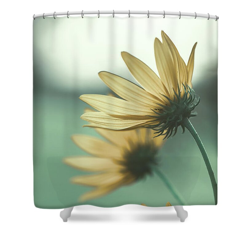 Nature Shower Curtain featuring the photograph Flower Dreams by Go and Flow Photos