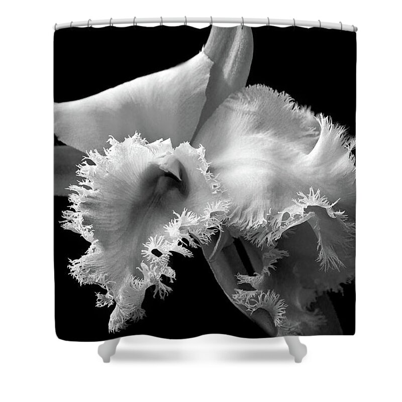 Orchid Shower Curtain featuring the photograph Flower - Orchid - Frilled to see you by Mike Savad