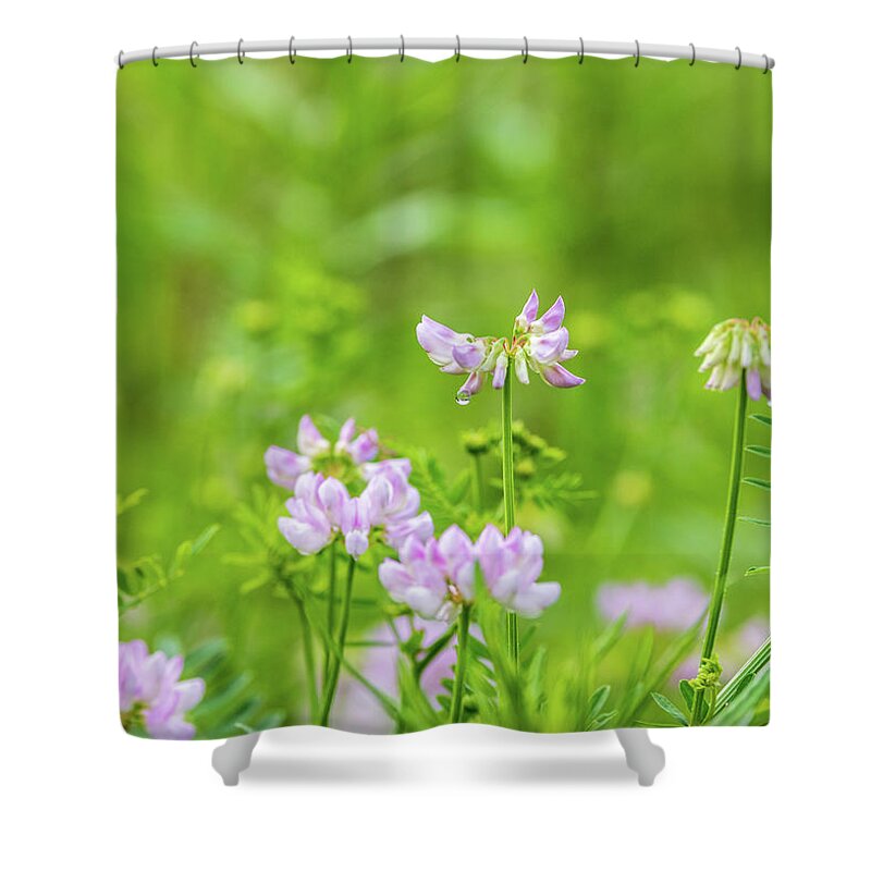 Flower Shower Curtain featuring the photograph Flower Photography - Spring Field by Amelia Pearn