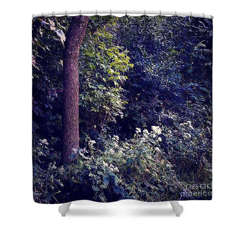 Wild Hemlock Shower Curtain featuring the photograph Flowers Along The Trail - Heat Effect by Frank J Casella