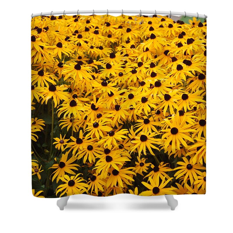 Yellow Shower Curtain featuring the photograph Flowers for You by James Cousineau