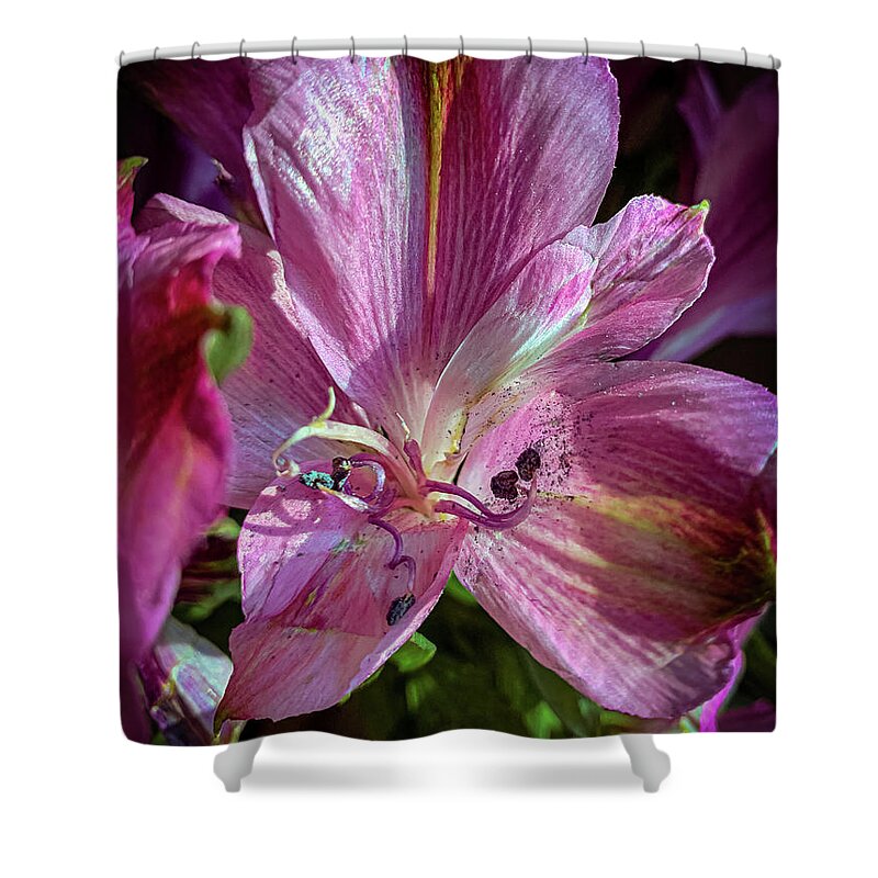 Flower Shower Curtain featuring the photograph Flowers in the sun by Jim Feldman