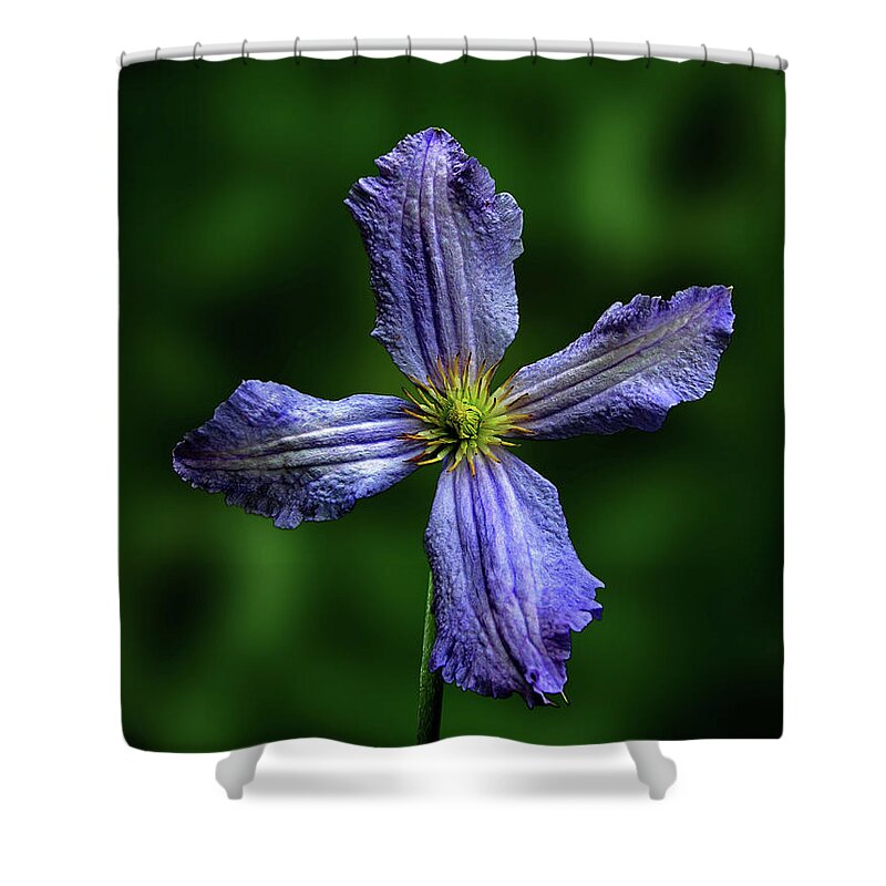 Photography Shower Curtain featuring the mixed media Flowers Photography-58 by Art By Lakshmi