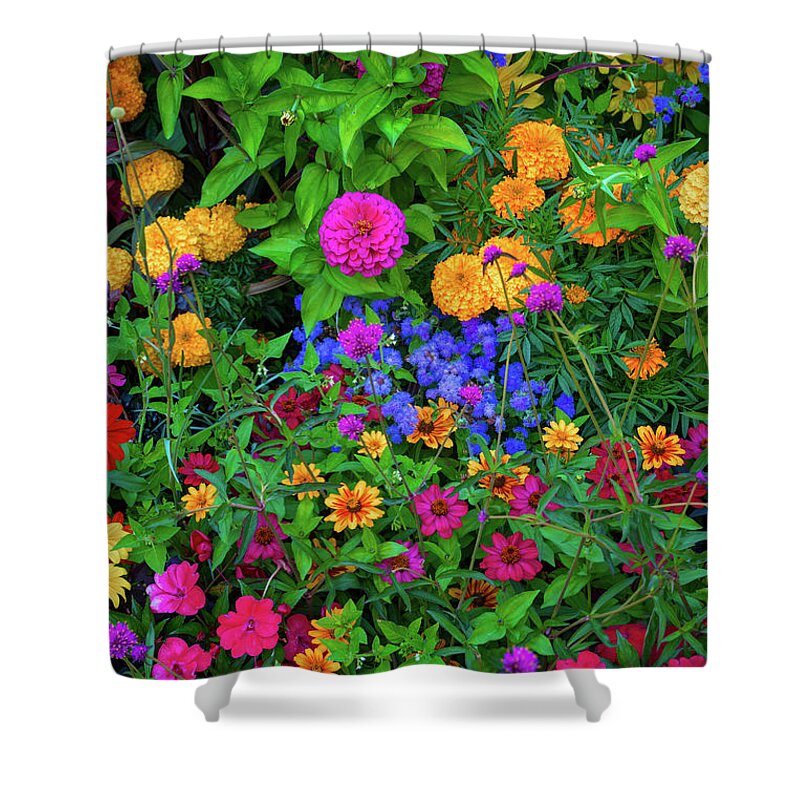 Flower Shower Curtain featuring the photograph Flowers so colorful by Bill Cubitt