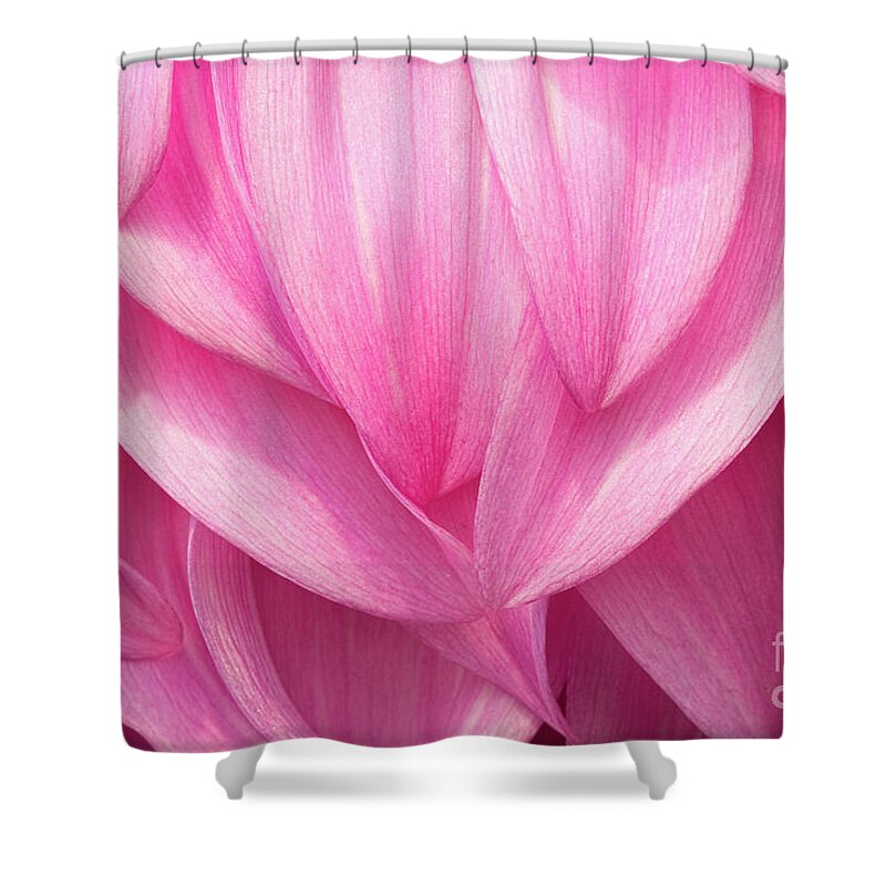 Dahlias Shower Curtain featuring the photograph Flowing by Marilyn Cornwell