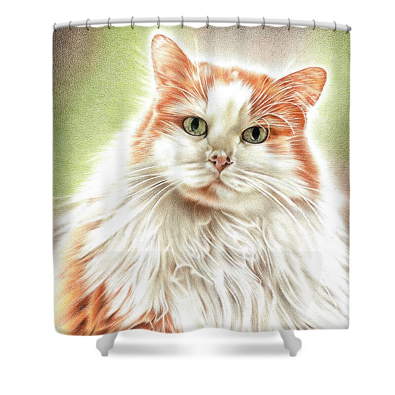 Cat Shower Curtain featuring the drawing Fluffy Cat by Casey 'Remrov' Vormer