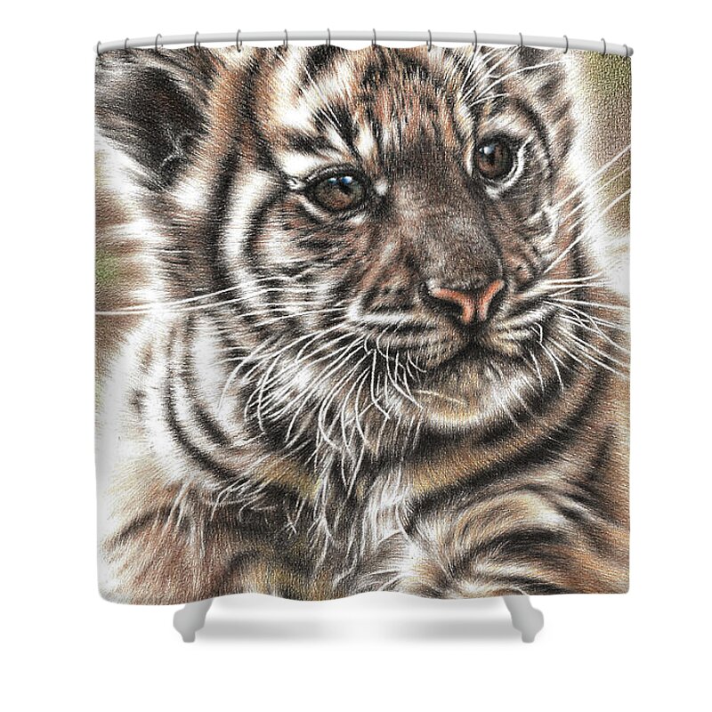 Tiger Shower Curtain featuring the drawing Fluffy Tiger Cub by Casey 'Remrov' Vormer