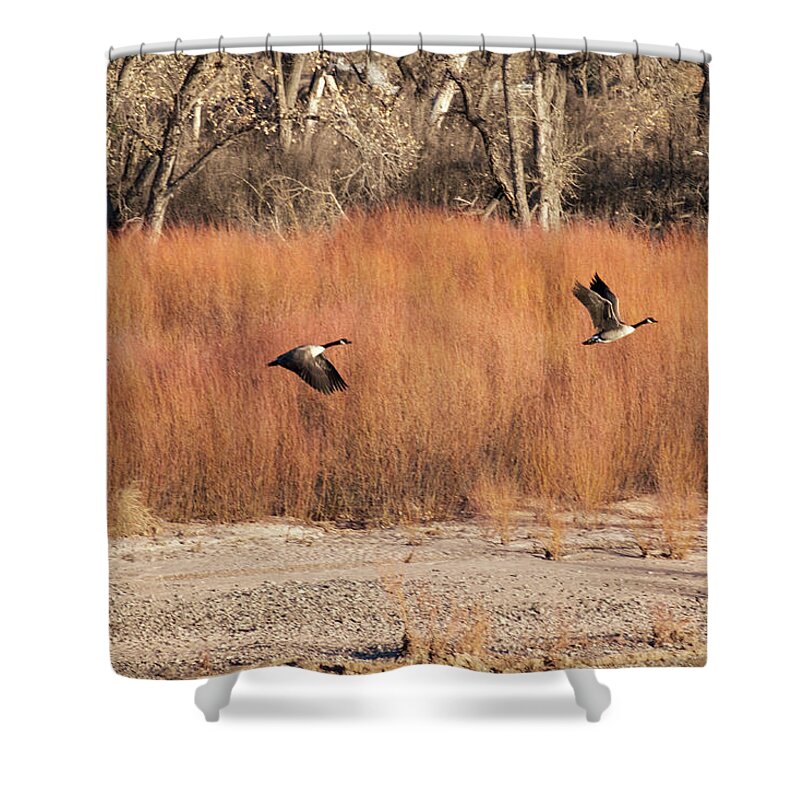 Geese Shower Curtain featuring the photograph Flying Geese in the Bosque by Mary Lee Dereske
